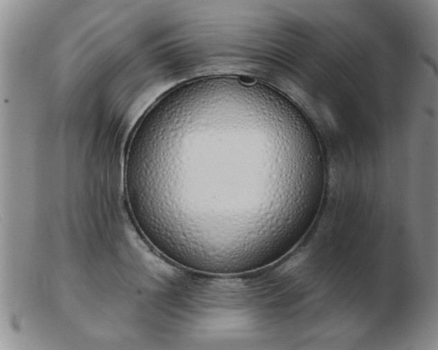 X0000103500844200809191943