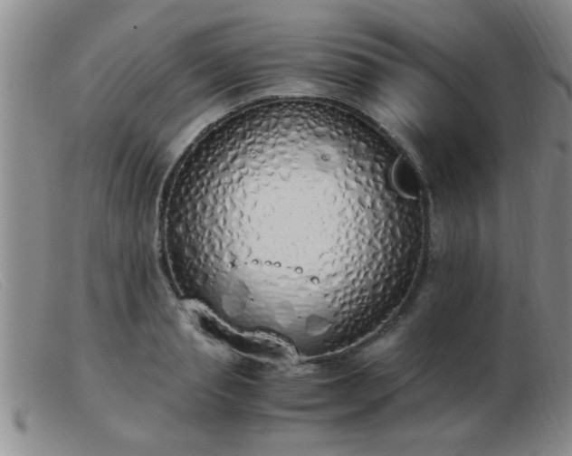 X0000103500845200809191943