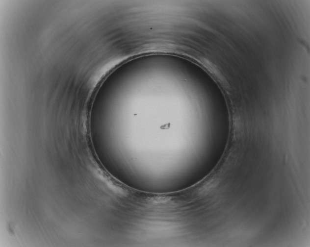 X0000103500846200809191943