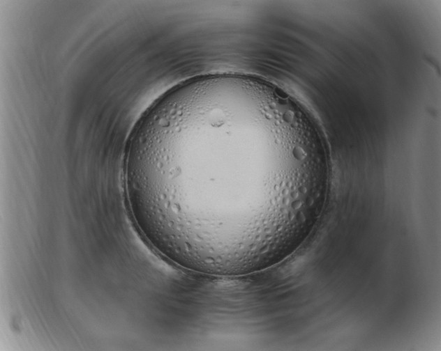 X0000103500847200809191944