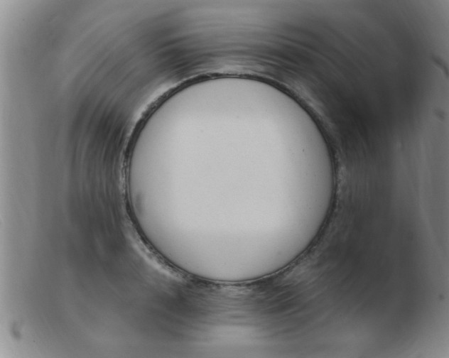 X0000103500848200809191944