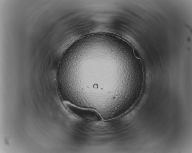 X0000103500849200809191944