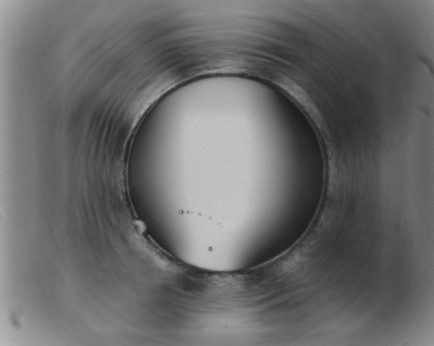 X0000103500850200809191944