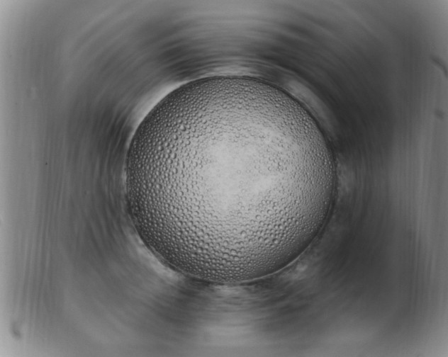 X0000103500852200809191944