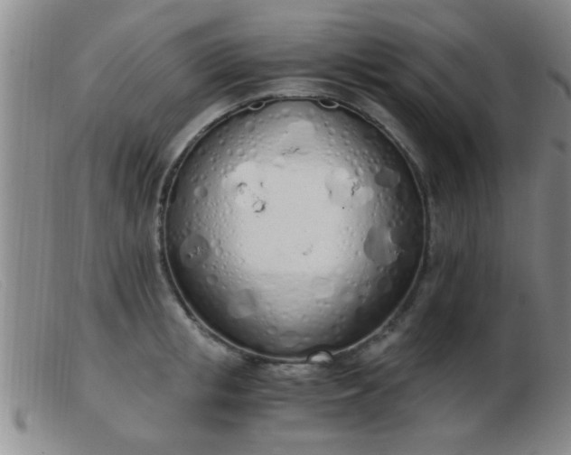 X0000103500853200809191944