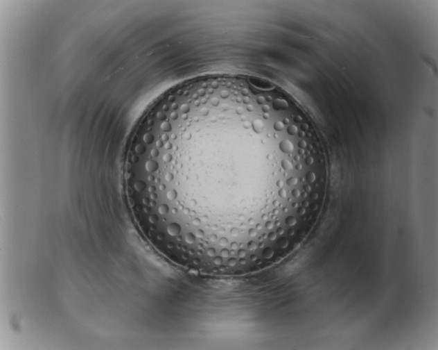 X0000103500854200809191944