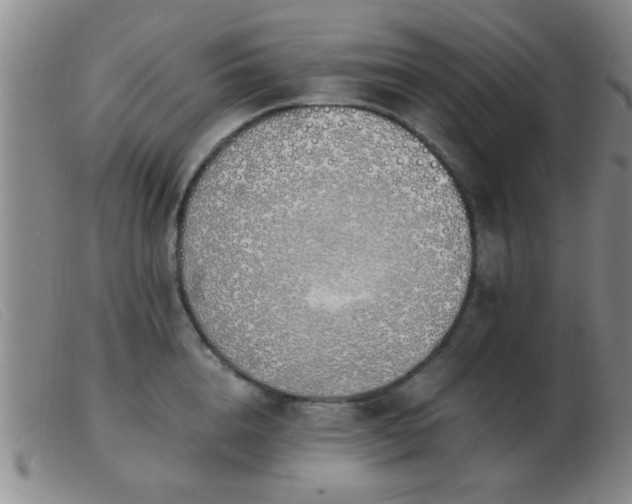 X0000103500856200809191944