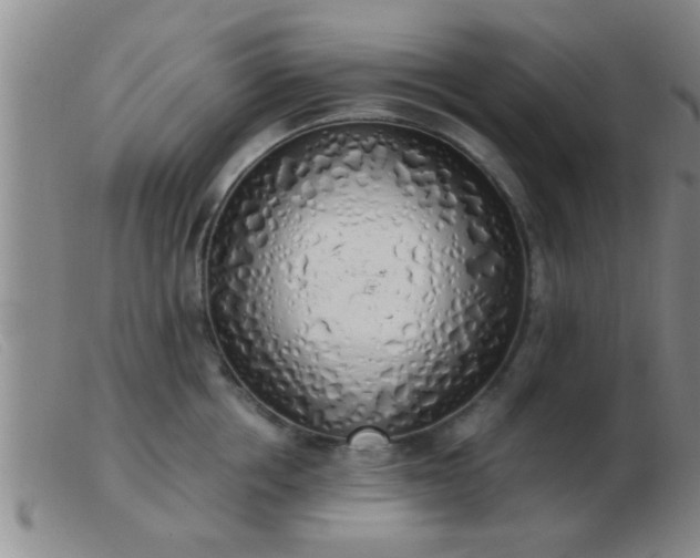 X0000103500858200809191944