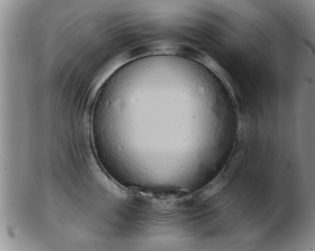 X0000103500859200809191944