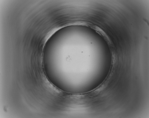 X0000103500860200809191944