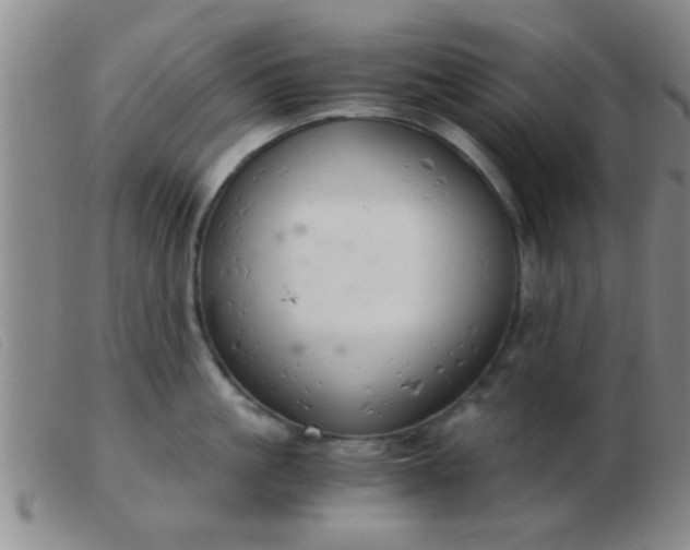 X0000103500861200809191944