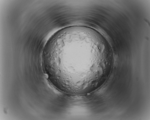 X0000103500862200809191944