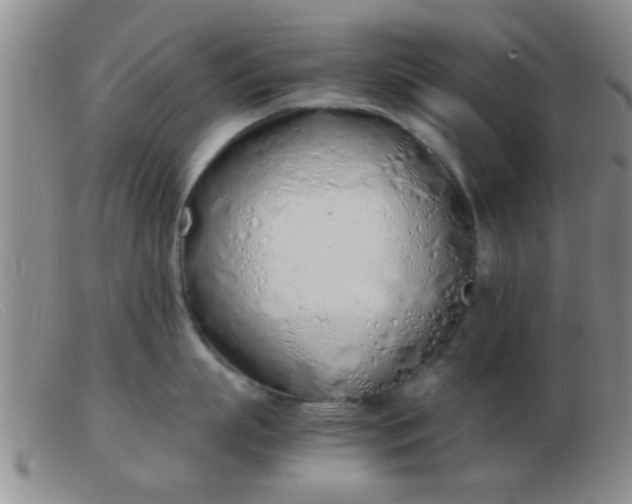 X0000103500863200809191944