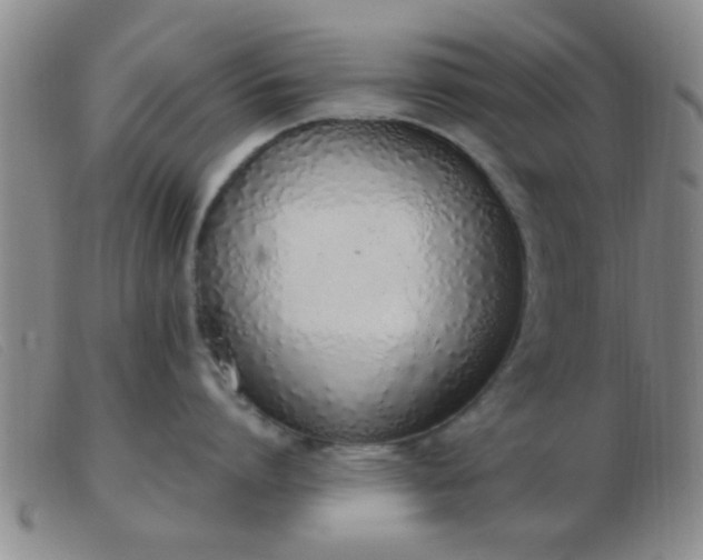 X0000103500864200809191944