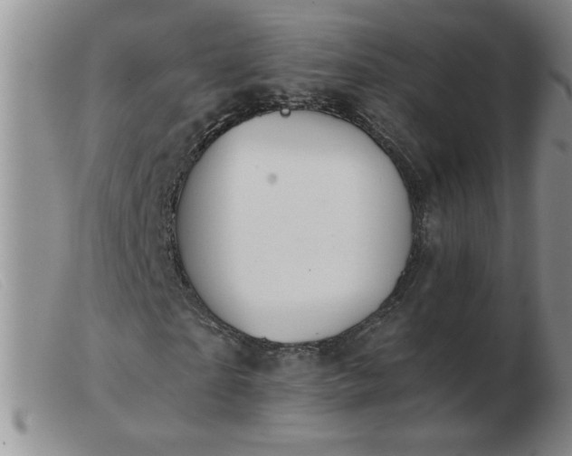 X0000103500865200809191943