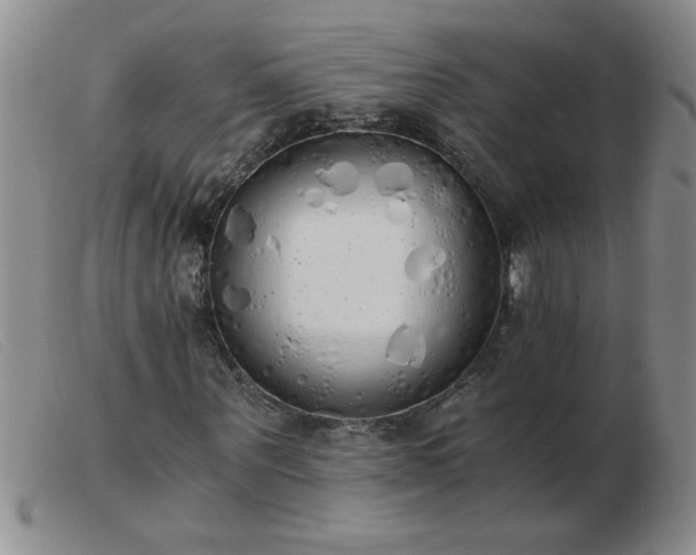 X0000103500867200809191943