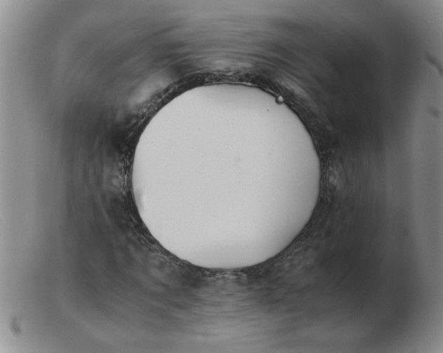 X0000103500869200809191943