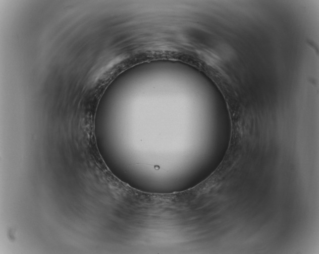 X0000103500870200809191943