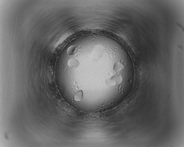 X0000103500871200809191943