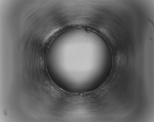 X0000103500872200809191943