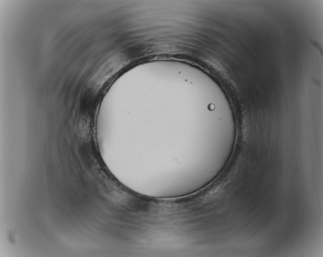 X0000103500873200809191943