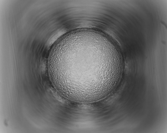 X0000103500874200809191943