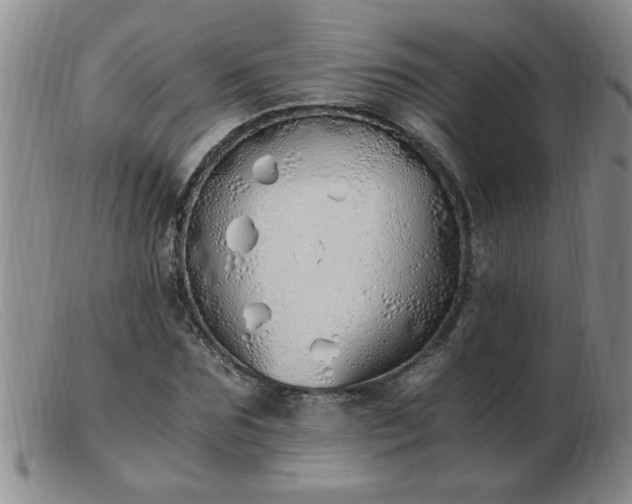 X0000103500875200809191943