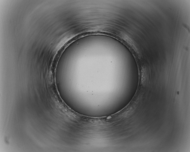 X0000103500876200809191943