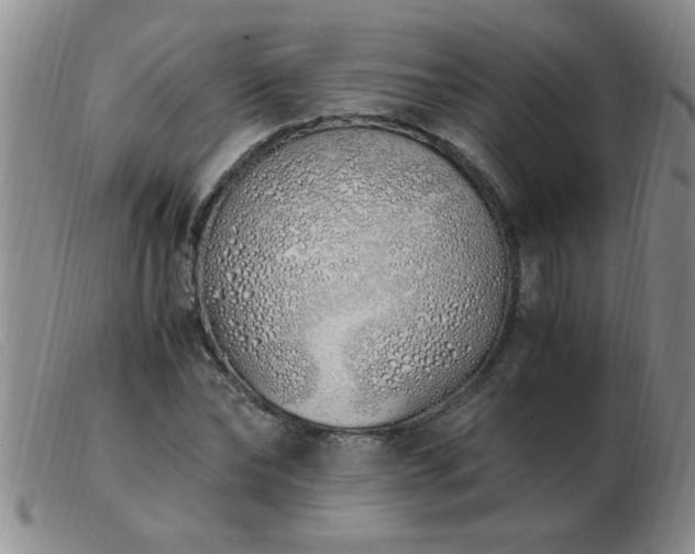 X0000103500878200809191943