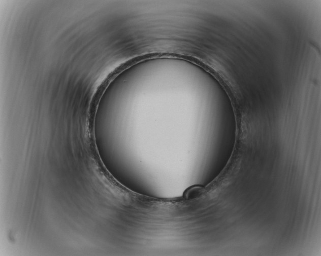 X0000103500880200809191943