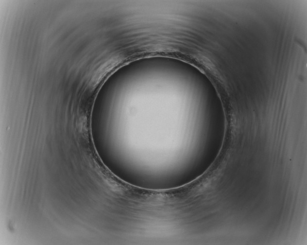 X0000103500881200809191943