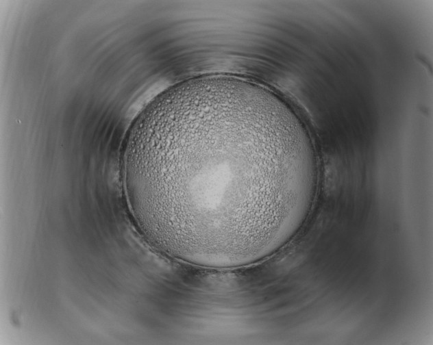 X0000103500882200809191943