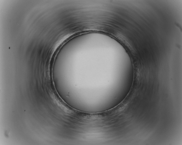 X0000103500884200809191943