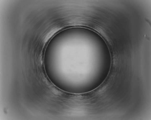 X0000103500885200809191943