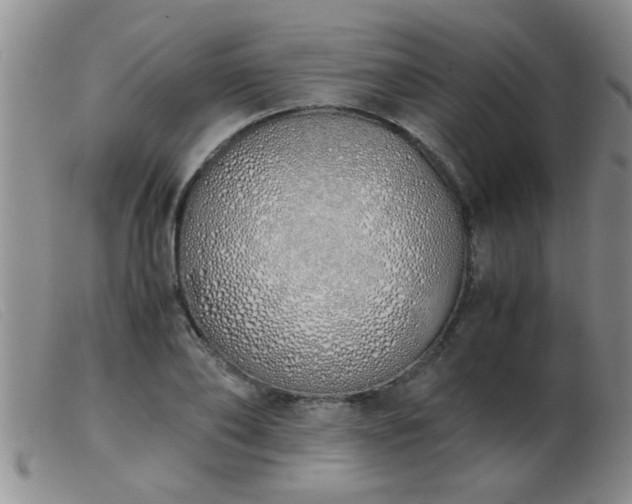 X0000103500886200809191943