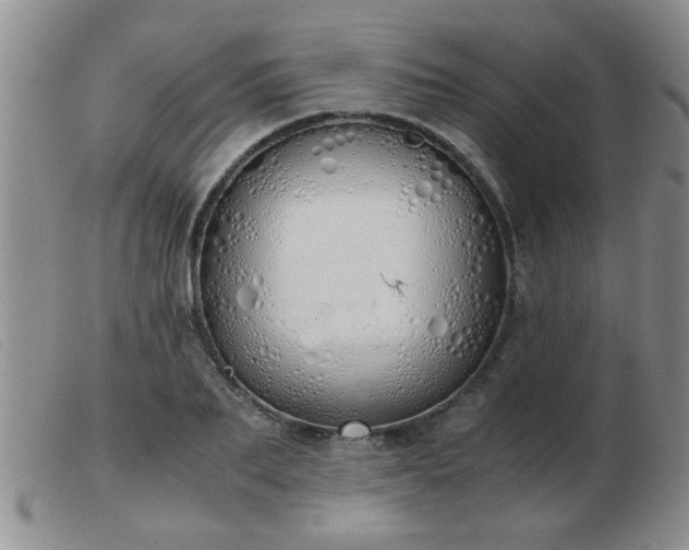 X0000103500887200809191943