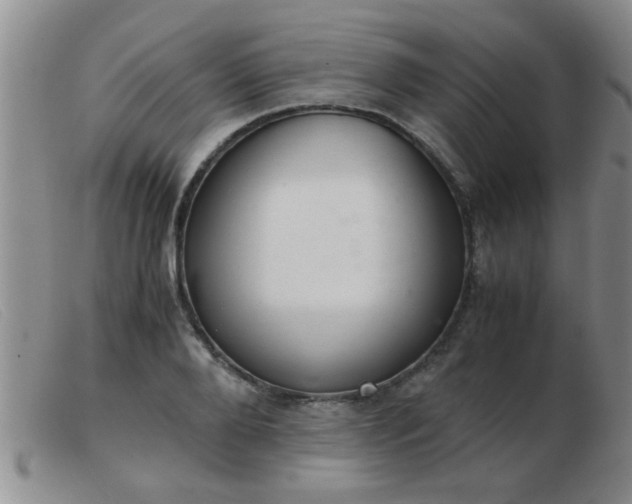 X0000103500888200809191943