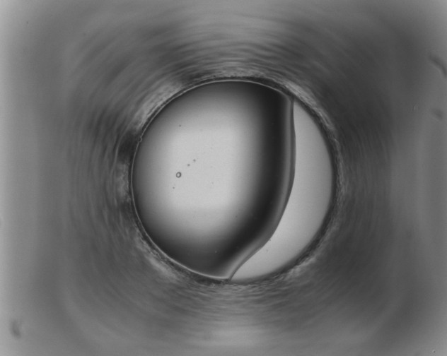 X0000103500889200809191943