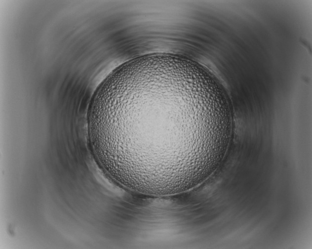 X0000103500890200809191943