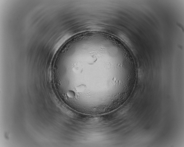 X0000103500891200809191943