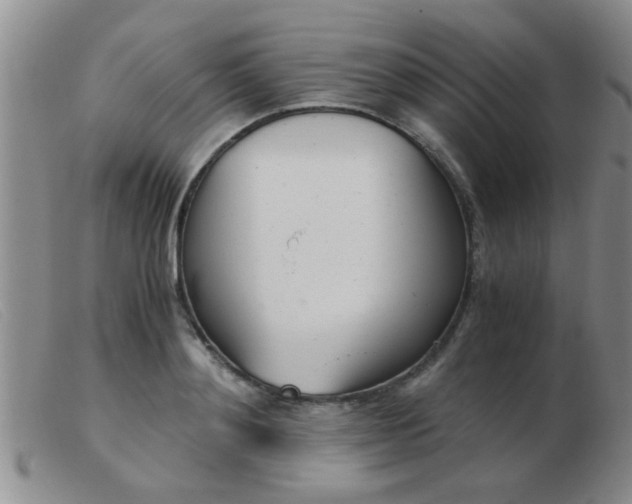 X0000103500892200809191943