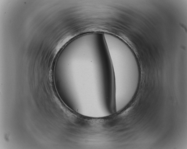 X0000103500893200809191943