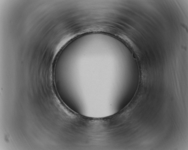 X0000103500894200809191943