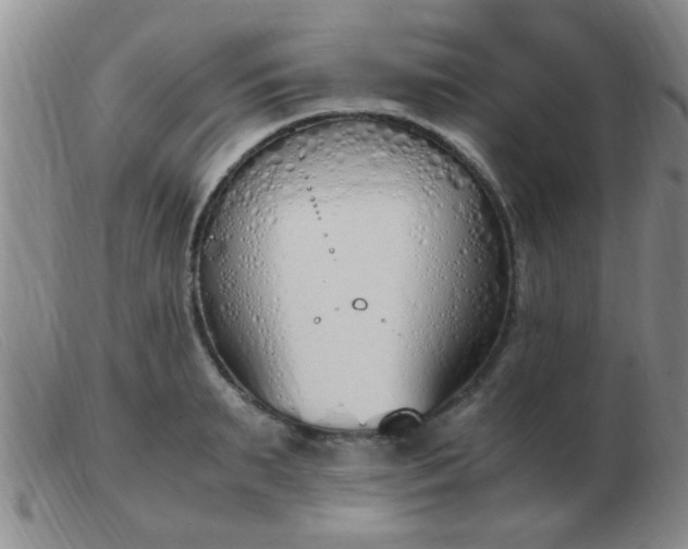 X0000103500895200809191943