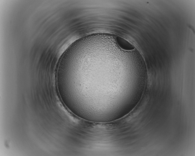 X0000103500898200809191943