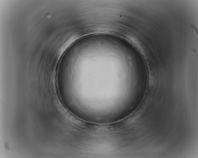 X0000103500899200809191943