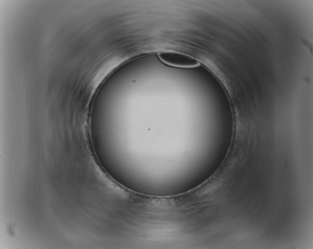 X0000103500901200809191943