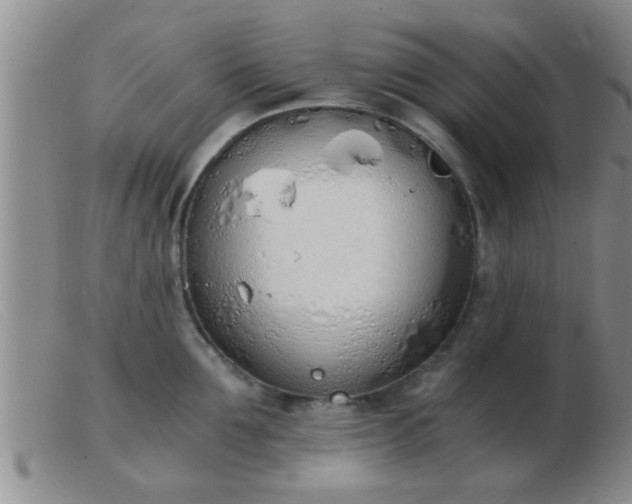 X0000103500907200809191942