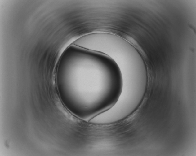 X0000103500908200809191942