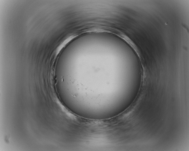 X0000103500909200809191942